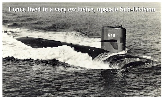 SSN-649 exclusive sub division